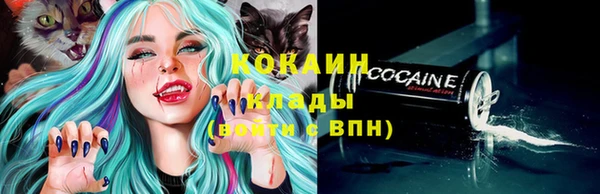 прущие грибы Гусь-Хрустальный
