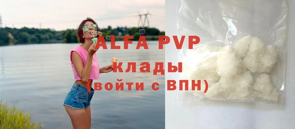 прущие грибы Гусь-Хрустальный