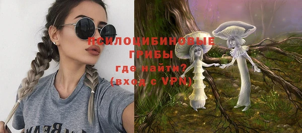 прущие грибы Гусь-Хрустальный