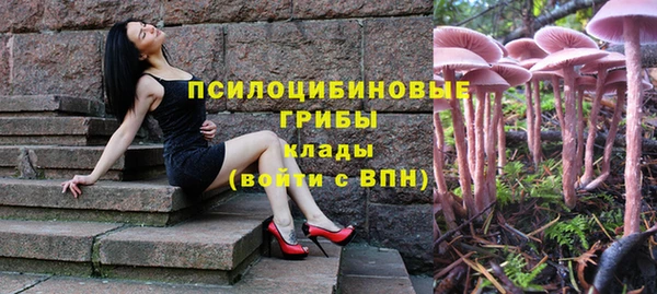 ALPHA PVP Гусиноозёрск