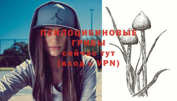 мескалин Дмитровск