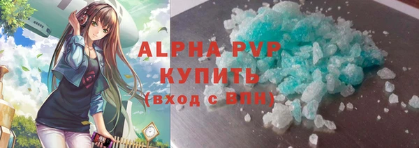 прущие грибы Гусь-Хрустальный