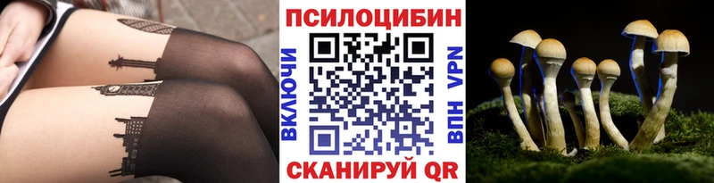 omg маркетплейс  Бердск  Псилоцибиновые грибы Magic Shrooms 